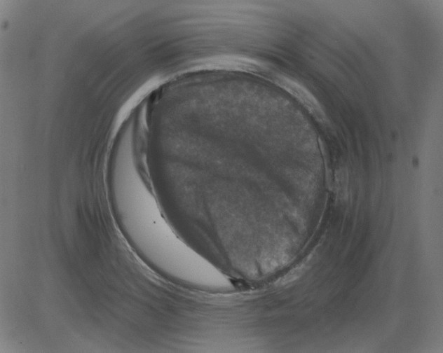 X0000081471180200702092332