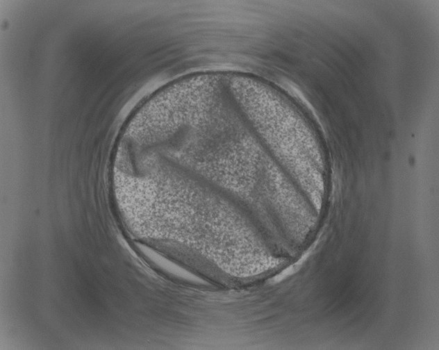 X0000081471181200702092332