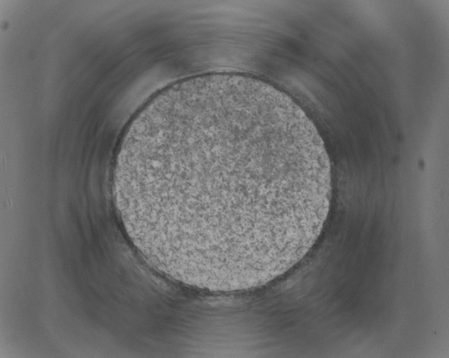 X0000081471182200702092332