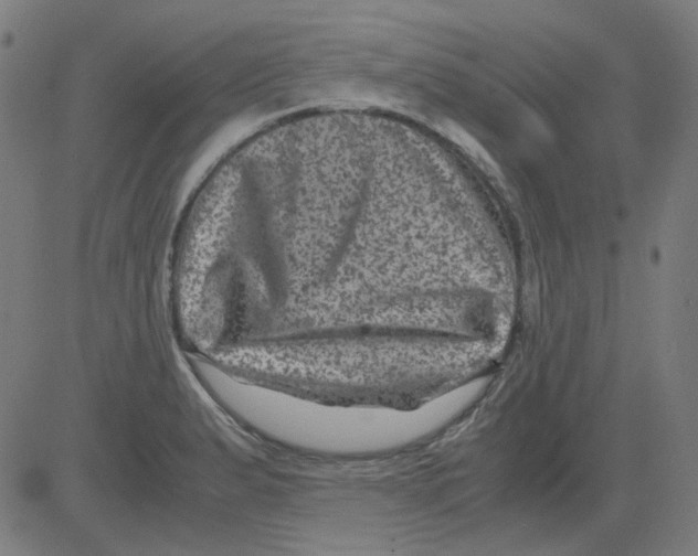 X0000081471183200702092332