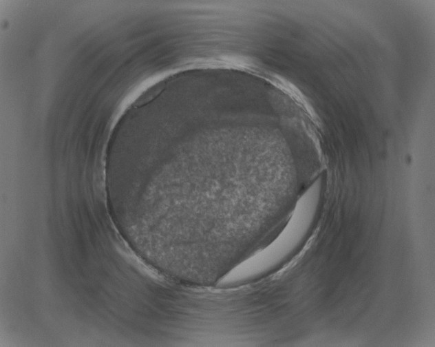 X0000081471184200702092332