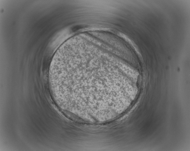 X0000081471185200702092332