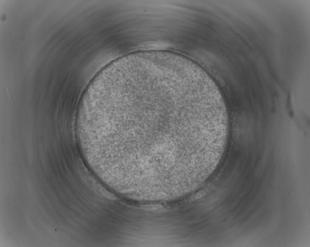 X0000081471186200702092332