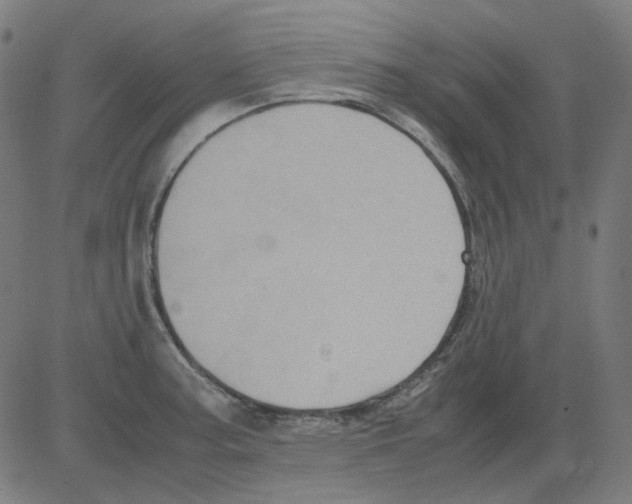 X0000081471187200702092332