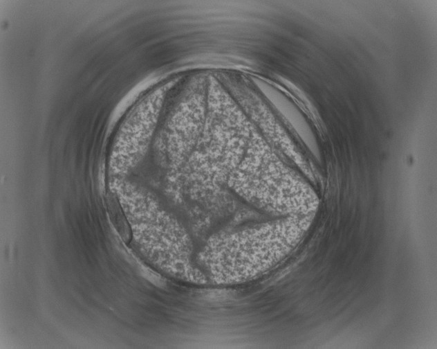 X0000081471188200702092332