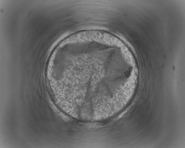 X0000081471189200702092332