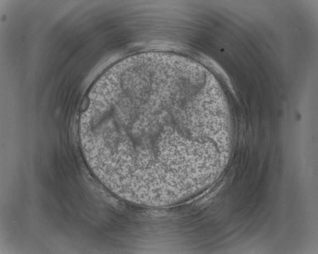 X0000081471190200702092332