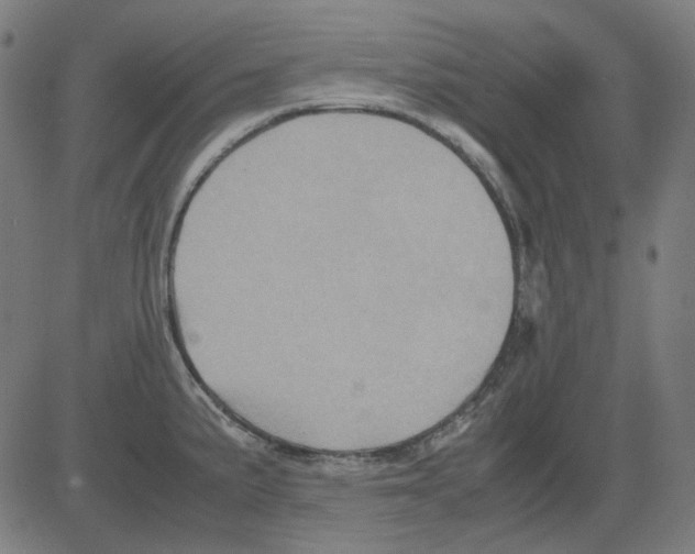 X0000081471191200702092332