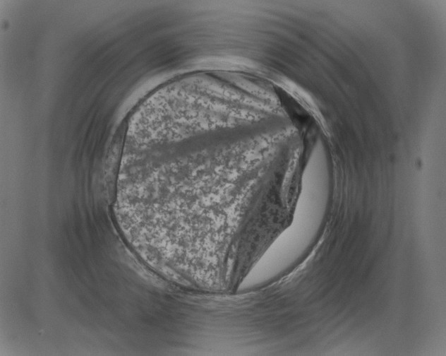 X0000081471192200702092332