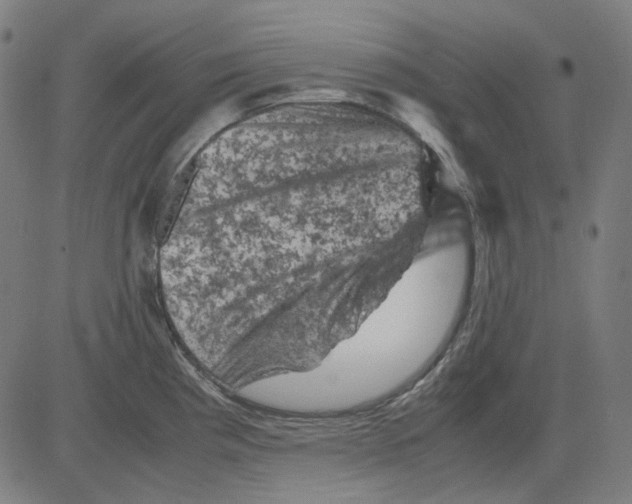 X0000081471193200702092332