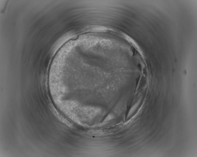 X0000081471194200702092332