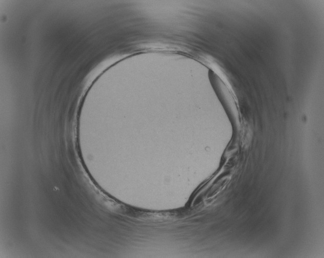 X0000081471195200702092332