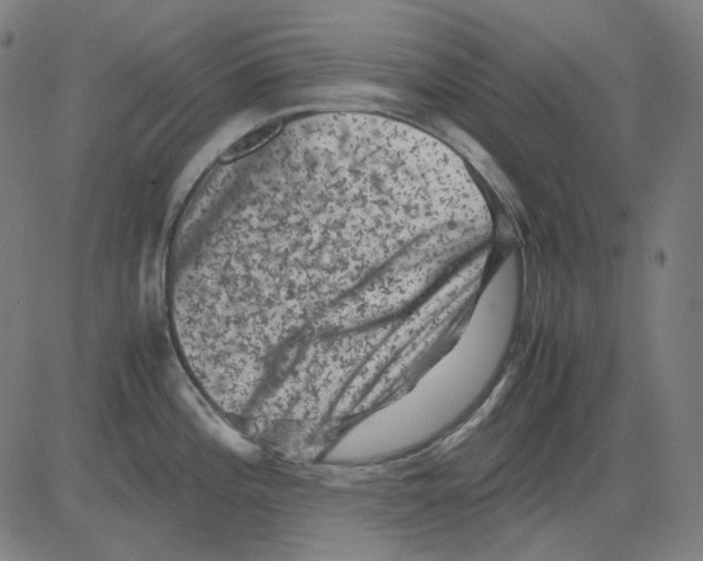 X0000081471196200702092332