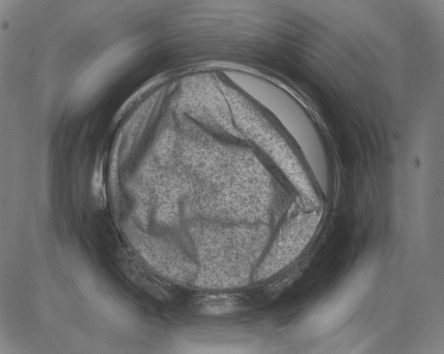 X0000081471198200702092332