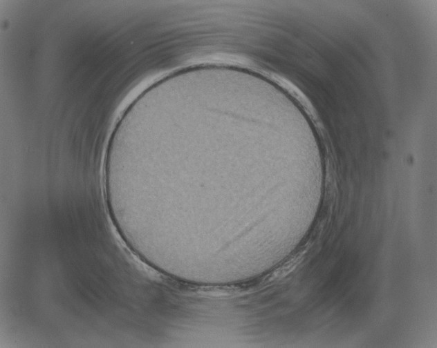 X0000081471199200702092332