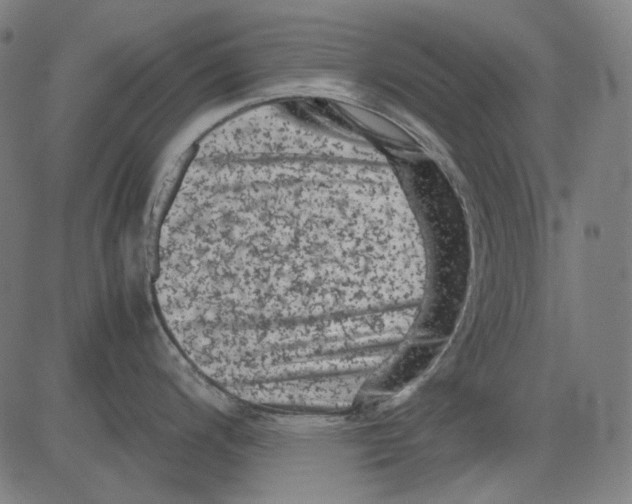 X0000081471200200702092332