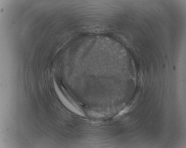 X0000081471202200702092331