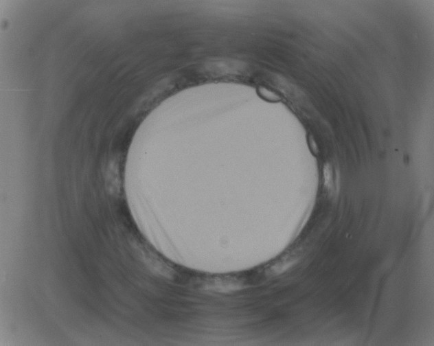 X0000081471203200702092331