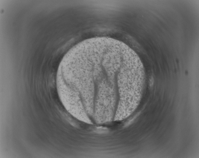 X0000081471204200702092331