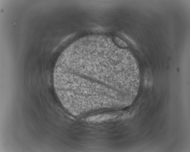 X0000081471205200702092331