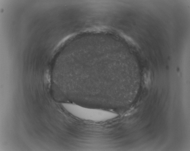 X0000081471206200702092331