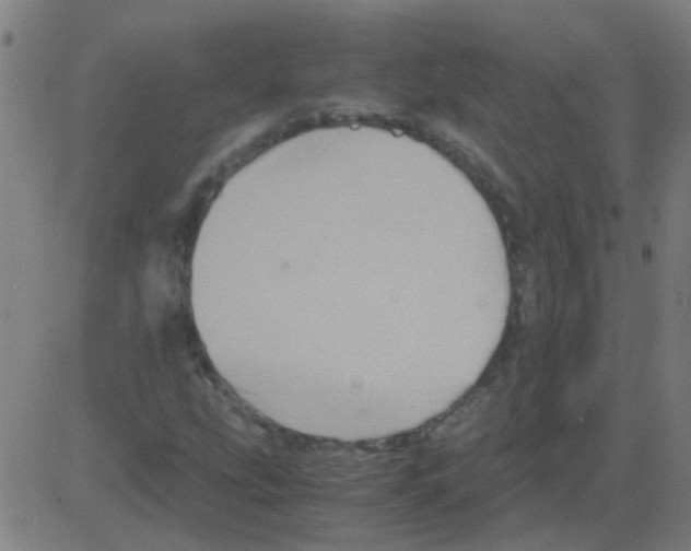 X0000081471207200702092331