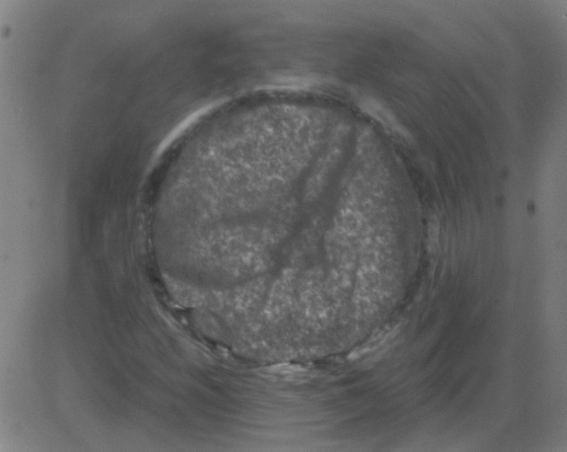 X0000081471208200702092331