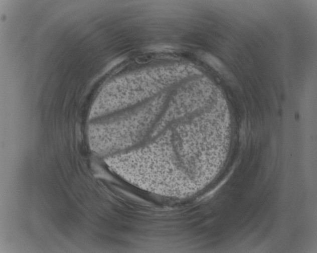 X0000081471209200702092331