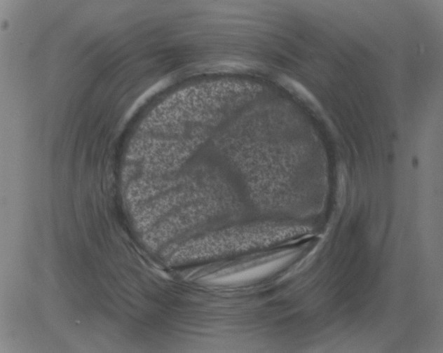 X0000081471210200702092331