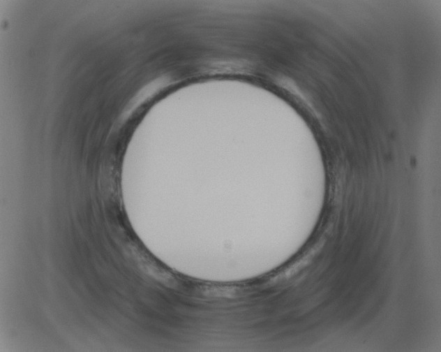 X0000081471211200702092331