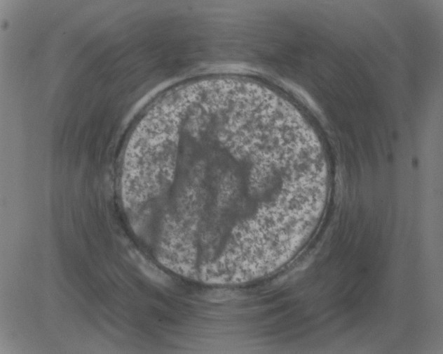 X0000081471212200702092331