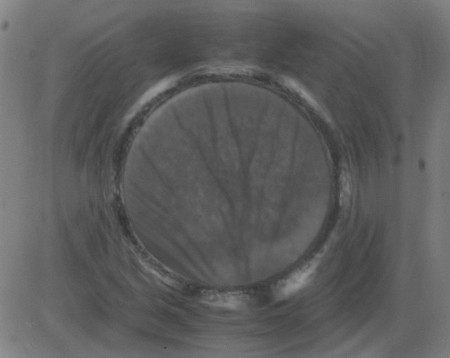 X0000081471213200702092331