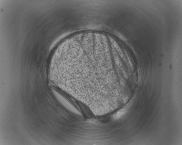 X0000081471214200702092331