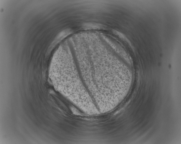 X0000081471217200702092331