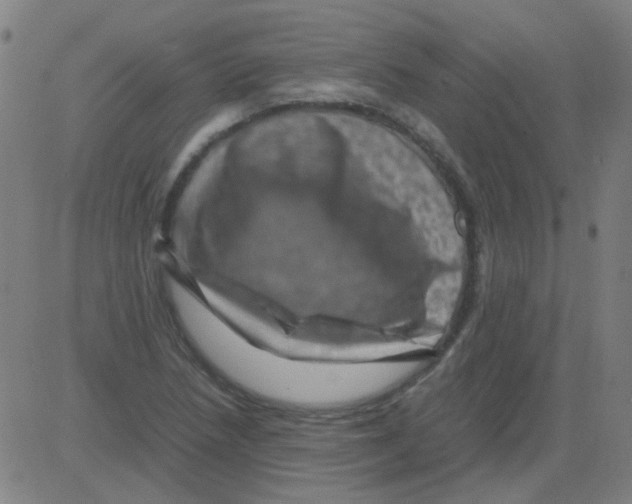 X0000081471218200702092331