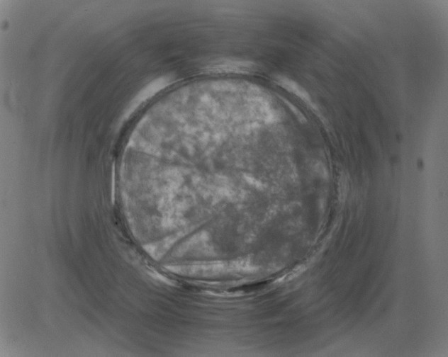 X0000081471219200702092331