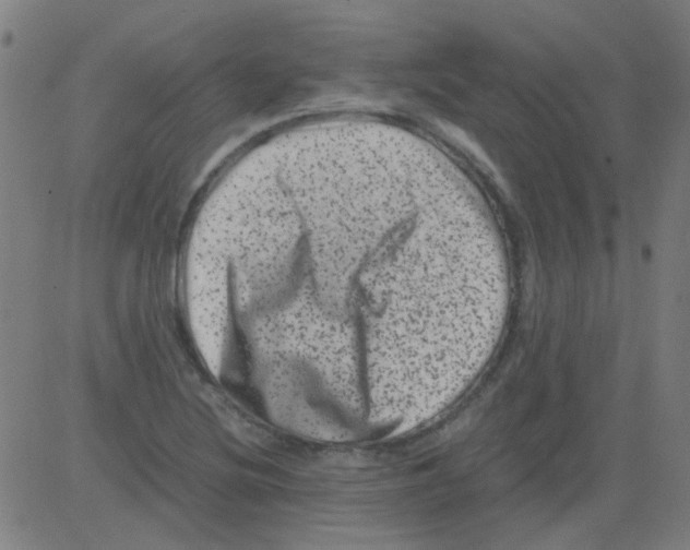 X0000081471220200702092331