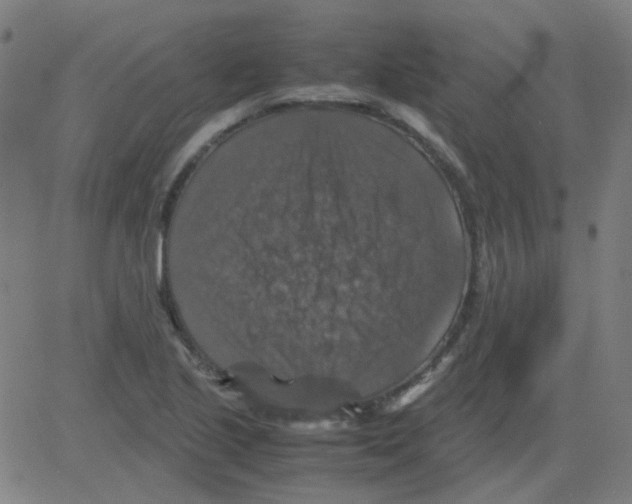 X0000081471221200702092331