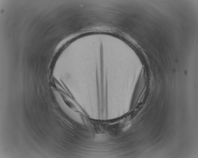 X0000081471222200702092331