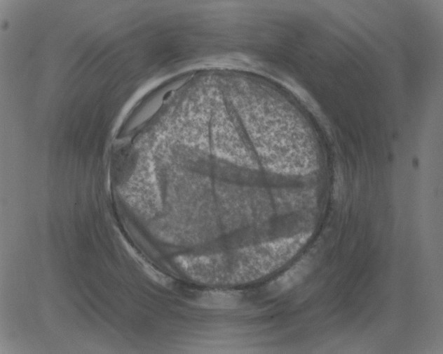 X0000081471224200702092331