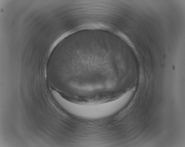 X0000081471226200702092331