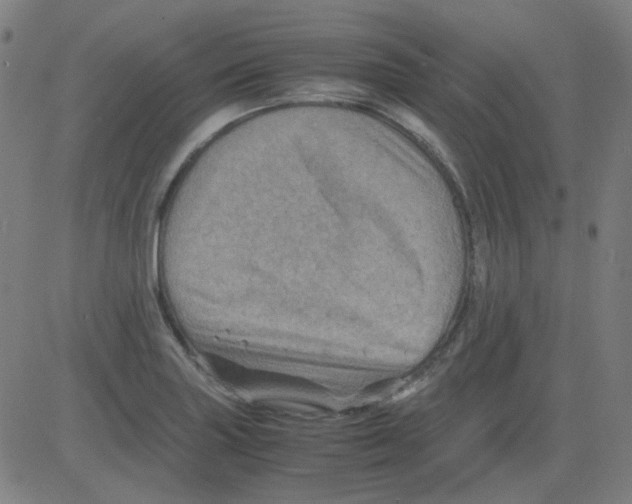 X0000081471227200702092332