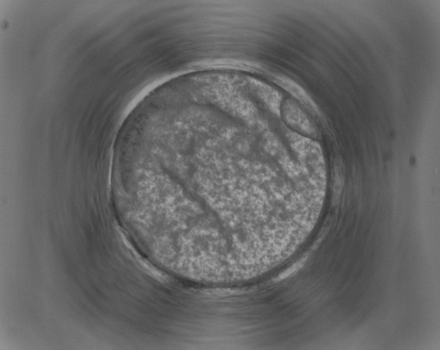 X0000081471228200702092332