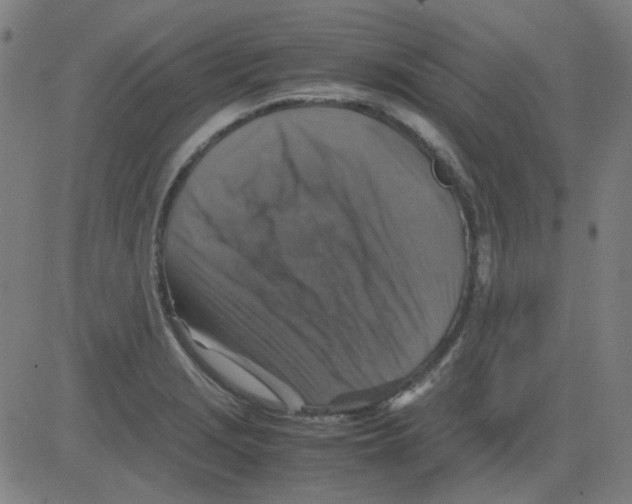 X0000081471229200702092332