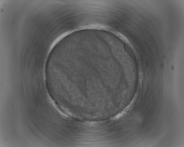 X0000081471230200702092332