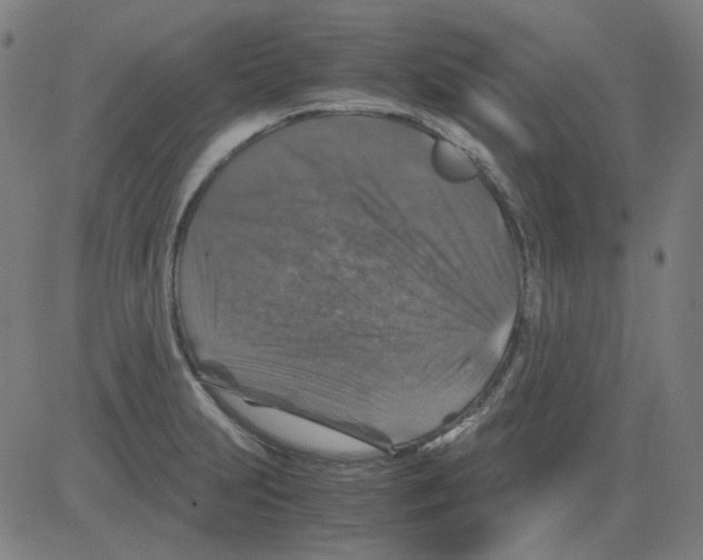 X0000081471231200702092332