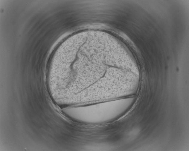 X0000081471232200702092332