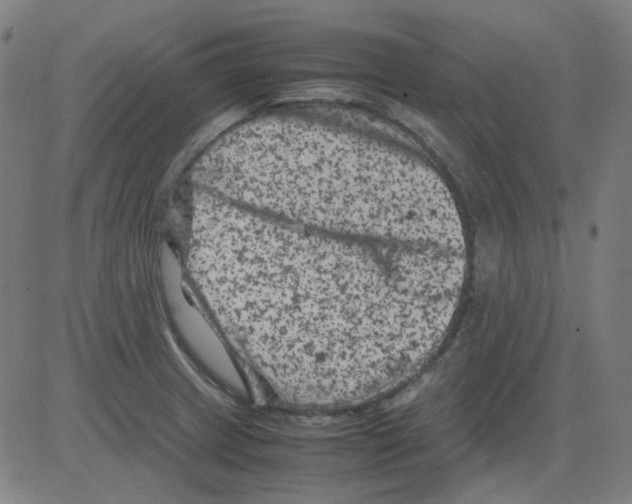 X0000081471233200702092332