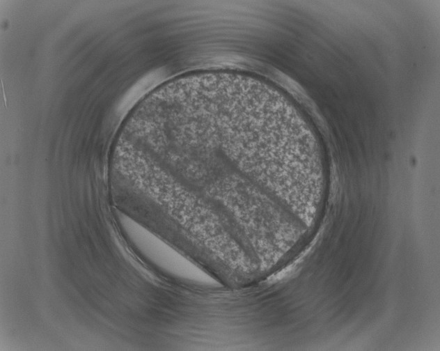 X0000081471234200702092332