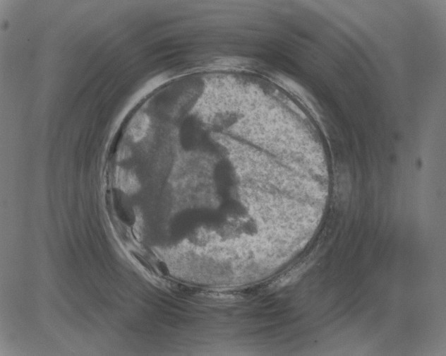 X0000081471235200702092332